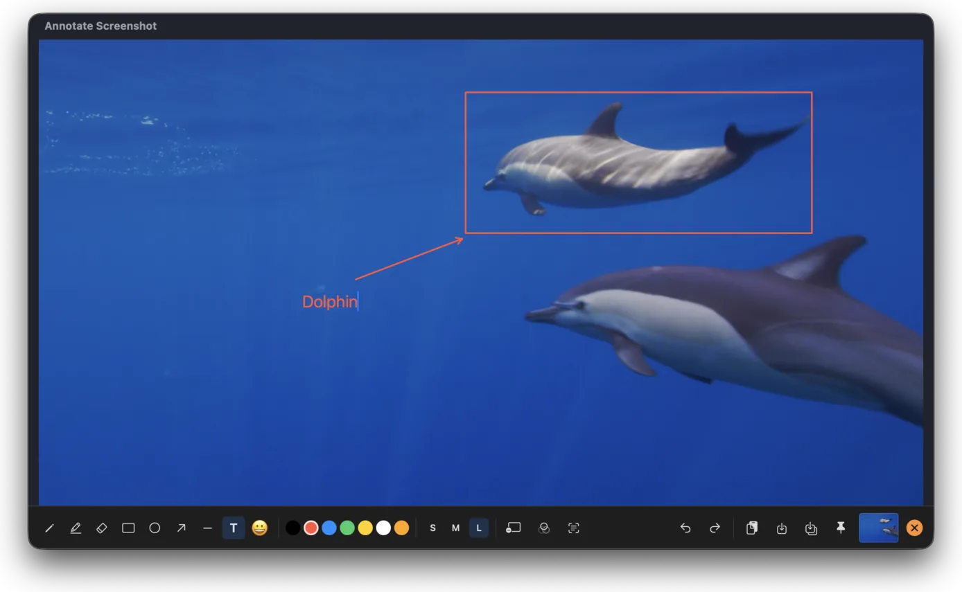 The SnipTool editor with a red rectangle around a dolphin, a red arrow pointing to it, and the caption “Dolphin” typed alongside — the text tool and large text size selected in the toolbar.
