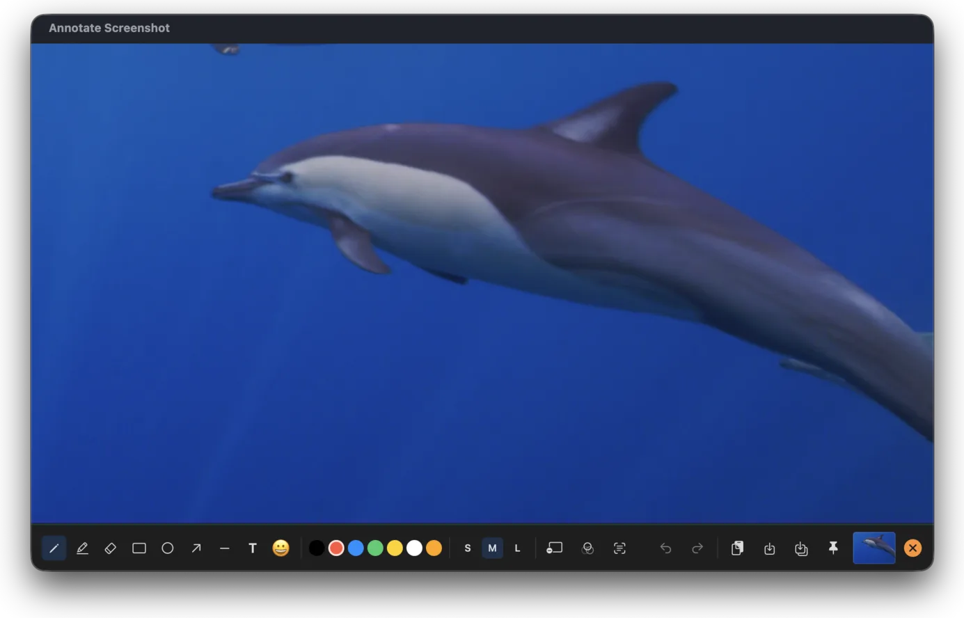 The SnipTool annotation editor showing a freshly captured photo of a dolphin, with the full tool palette — pen, shapes, text, emoji, colours, sizes, redaction, pin and export — along the bottom.
