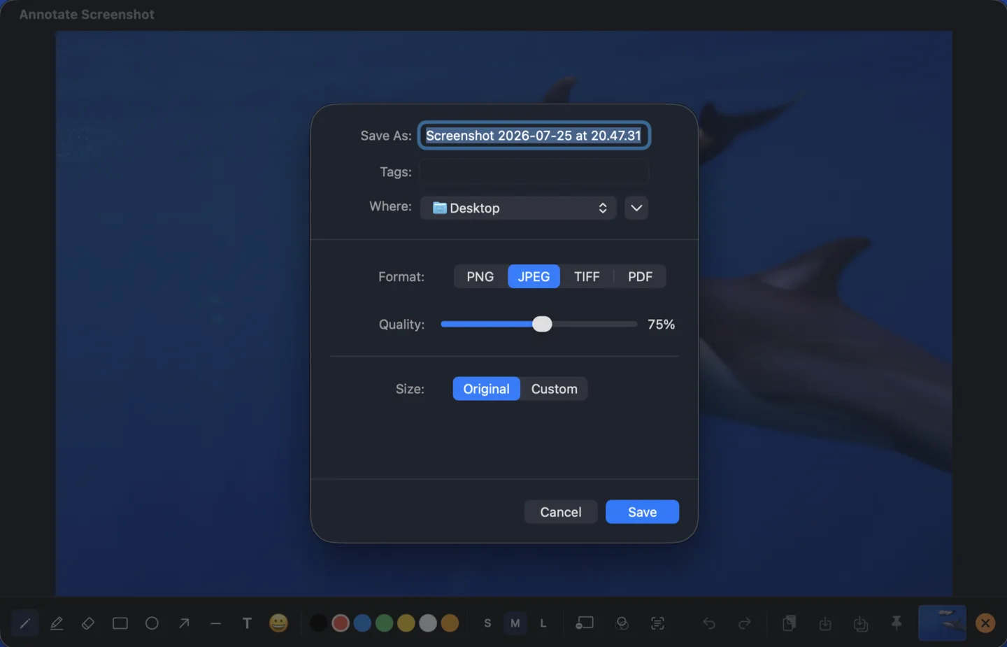 The SnipTool save dialog showing a timestamped filename, a Desktop destination, PNG, JPEG, TIFF and PDF format options with a JPEG quality slider, and an Original or Custom size choice.